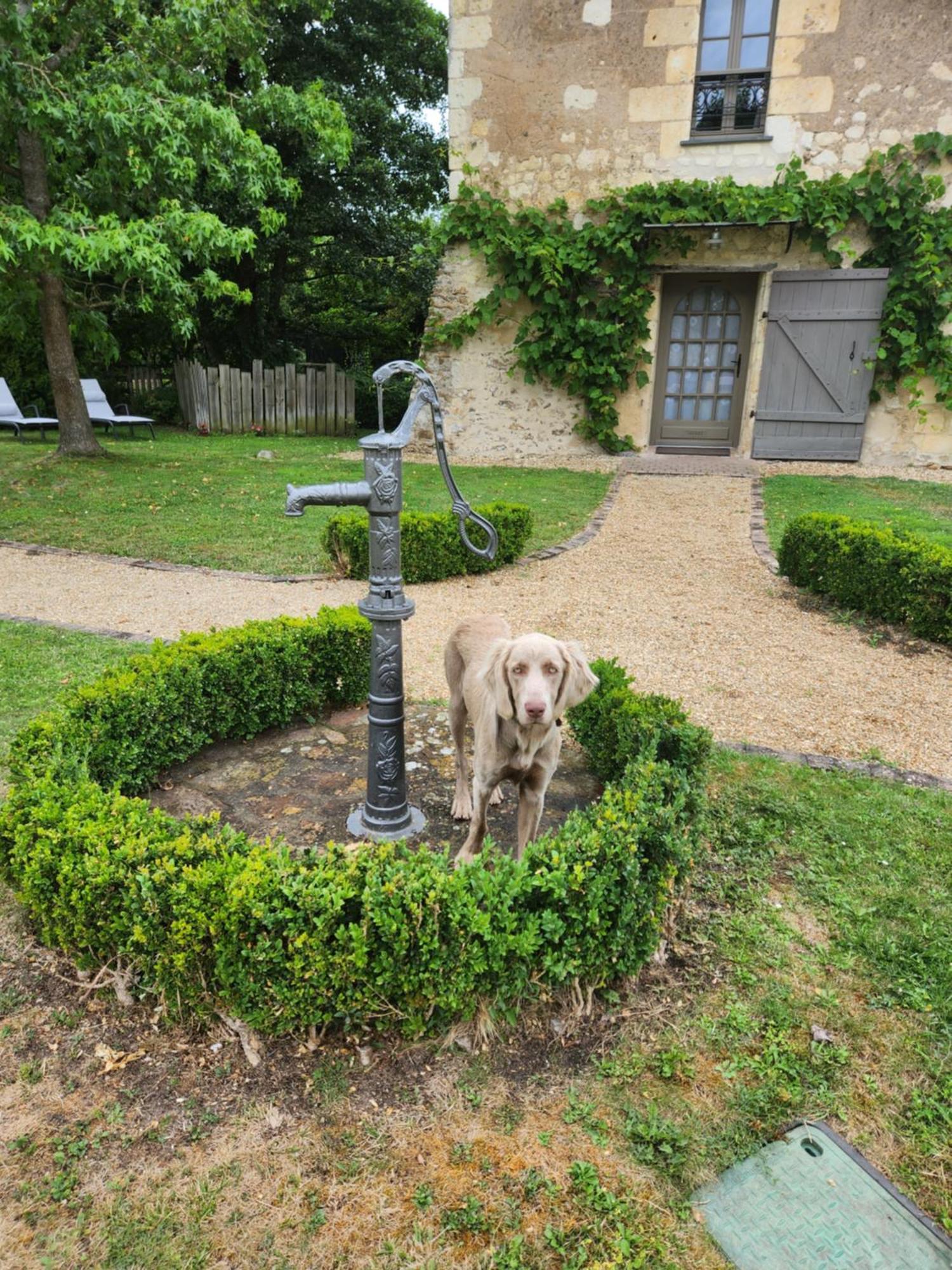 La Tour Du Grand Boust Villa Longue Luaran gambar